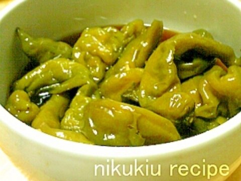 簡単おいしい!甘長とうがらしの煮びたし